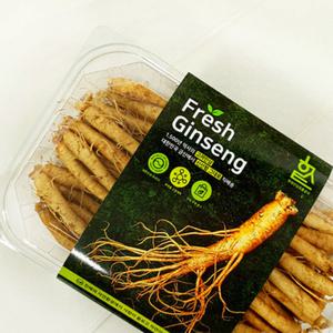 고려인삼 8호 대한민국 금산 인삼 수삼 4-5년근 600g