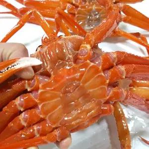 [st푸른농원][경북영덕]자숙(찜) 영덕홍게_프리미엄 홍게 4kg 9-12미(수율80%내외)