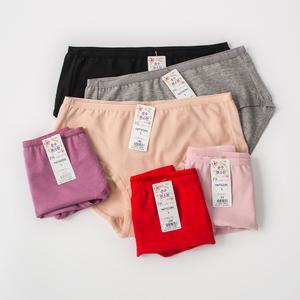 국산 피엔알 206 데일리 여성 슬림 면스판 팬티 빅사이즈 면팬티 베이직