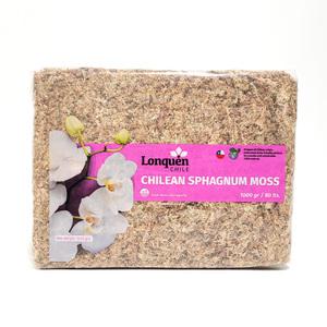 칠레산 수태 1kg 대용량 천연 이끼 1000g 분갈이 몬스테라 수태봉