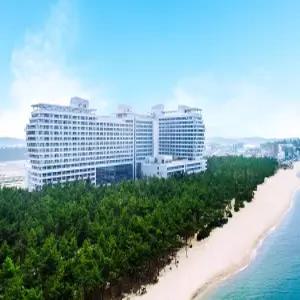 세인트존스 호텔(강릉호텔/강릉추천호텔)