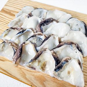 한그슥 국내산 손질 갑오징어 몸통살 500g 냉동 오징어