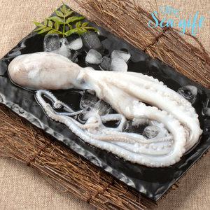 냉동 활낙지 3미 4미 6미 850g 급냉 낙지볶음 연포탕