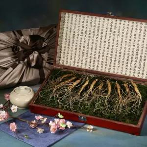 산양산삼 7년근 10주세트 [10+1행사]