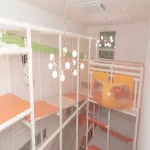 [경북] 코코베리 키즈풀빌라(경북, 경주)