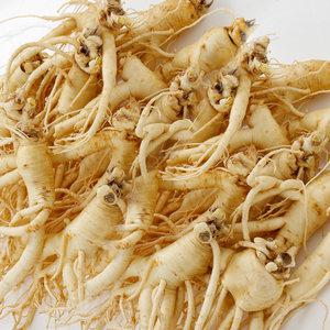 백년청우 풍기인삼 6년근 세척 난발삼 20~22뿌리내외 750g