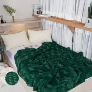 더보드라 극세사 그린트리 밍크담요 겨울용 특대형 이불 블랭킷