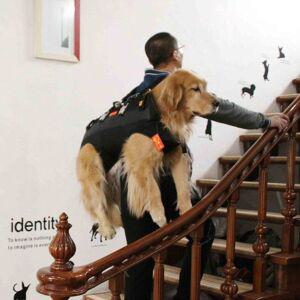 대형견 포대기 중형견 산책 반려견 들것 이동 외출 가방 강아지 백팩 장애견