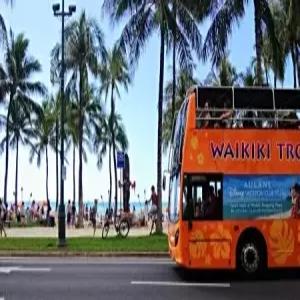 [세미패키지] 하와이 5일6일 에어프레미아+와이키키리조트