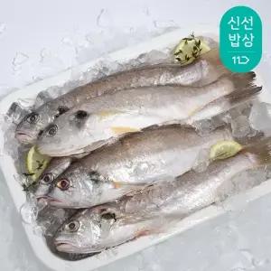 제주백조기 2팩 개별포장 450g 내외