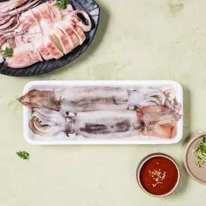 [생물][국산] 생오징어 (마리)