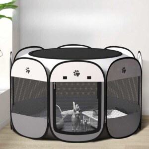 텐트 출산 산실 원터치 캠핑 원터치텐트 업그레이드된 출산용품 육아 길냥이