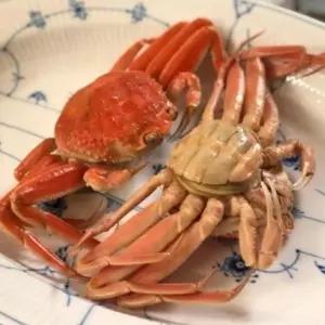 북해도 활 암 대게