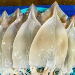 [탐탐] 제주 손질 한치 300g x 2팩