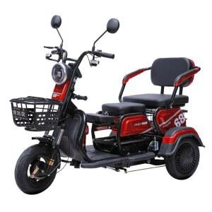 오토바이 성인용 전기 2인승 3륜 전기차 바이크 전동 30km