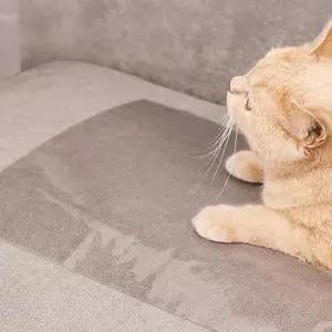 시트지 쇼파 벽보호 dd 패드 투명 스크래치방지필름 소파비닐