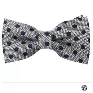 점박이 보타이 W11DFE4