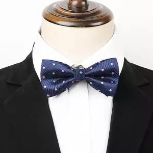 고품질 나비넥타이 보타이 연주회 행사 신사캐주얼 남자타이 (WFK9FHI)