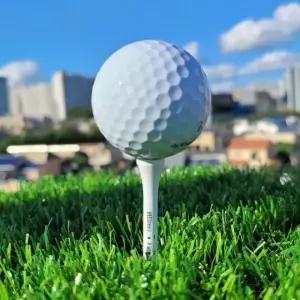 골프 83mm 눈끔티 조절 10P 티높이 티꽂이 슬라이스방 (WFK92WI)