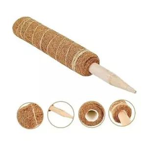 TC 코코넛 야자 스틱 (식물 지주대) 코코봉 60cm