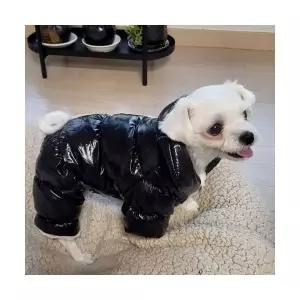 강아지 유광 롱패딩 방한 바람막이 애견 겨울 산책점퍼 2컬러