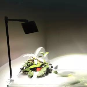 어항스팟조명 LED 수초등 물고기 스팟 수족관 어항등 스포트라이트