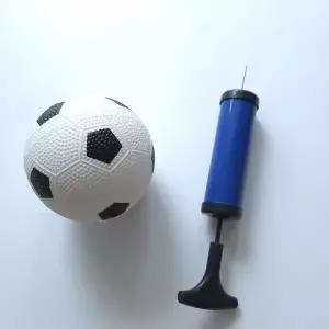 볼 에어펌프 블루인기 휴대용 블루 에어펌프베스 (WFKDWTO)