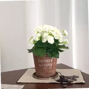 피클레온 양철 스타일 높은 원통 화분 (중) 23x21cm 아이보리 IV