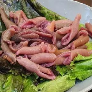 개불미끼 청개비 염장개불 낚시용개불 갯지렁이 염장혼무시 미끼