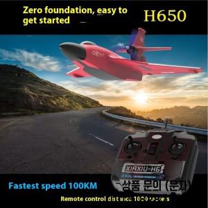새로운 H650 대형 RC 비행기 방수 및 낙하 공중 랩터 고정익 폼 항공기 야외 글라이더