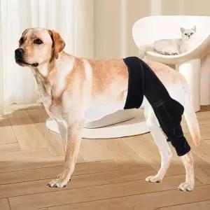 [콩심팥심]강아지 다리 보호 커버 슬개골 보호대 애견용품 강아지용 보호기