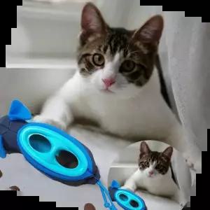 쥐돌이 고양이 먹이퍼즐 사냥본능 쥐먹이 장난감 5P