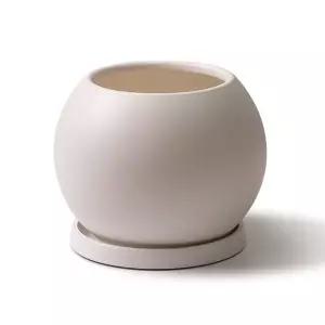 [아침향기]분갈이 거실화분 중형 식물 인테리어 플분 달항아리 국내산 받침 포함 세트