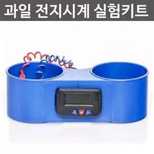 [셀러허브 스포츠레저]산성 과일로 전지를 만들어 시계 만들기 실험세트