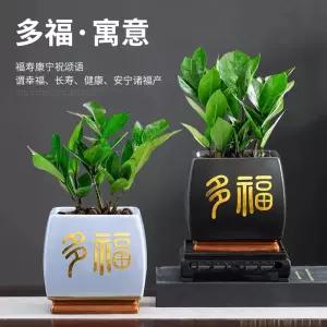 음성 포트 전경 꾸미기 수조 어항장식 소프트 어항 수초조경식물 인조풀