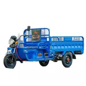 3륜 전기스쿠터 삼륜 삼발이 운반 오토바이 노인 농업 짐칸 겸용 농업용