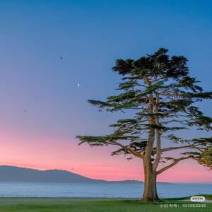 전문 얼굴 스티머 핫 써멀 스프레이 기기 뷰티 램프 포함 가정 및 살롱용 모공 깊은 클렌징 스킨케어 스파