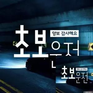 차량용 초보운전 스티커 고딕체 감사 양보 운전 안내 화이트 (WFKKWV5)