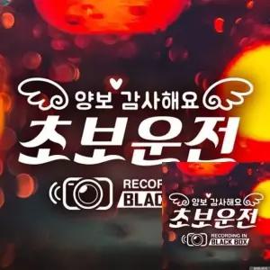 자동차 안전 주의 스티커 양보 감사 메시지 초보운전 블랙박스 카 (WFKKYYH)