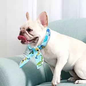 고품질 강아지 쿨 스카프 조끼 나시 아이스팩 고양이 더위 강아지쿨스카프 강아지스카프 WFHU0R4