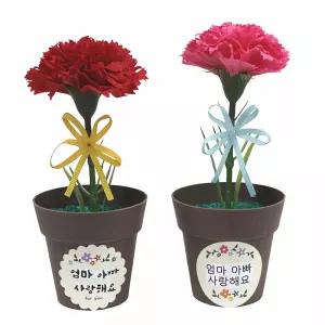 카네이션 메시지 화분 5인용 플라워 패키지 축하 용 생화 소형 식물 기념일 선물 정원