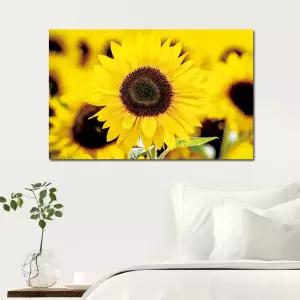 돈을 부르는 해바라기 캔버스액자 노란꽃 벽걸이 인테리어 소품 아트 집꾸미기 홈인테리어