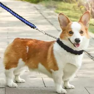 대형견 목줄 리드줄 강아지줄 트위스트