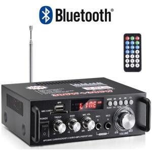 카드 슬롯이 있는 2.0 채널 미니 앰프 USB 드라이브 메모리 지원 라디오 12V220V DC 전원 입력 블루투스 연