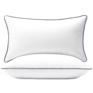 퓨레다운 12X20 베개 삽입물 장식용 데코용 푹신한 침대 세트 다운 요추 2개 대체 커버가 소파 베개 있는 오버필 100