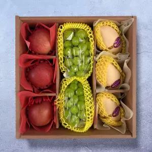 EAT-g 프리미엄 과일 혼합 선물세트 3종(골드망고+샤인+사과) / 명절 과일세트