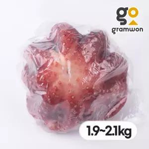 자숙문어 돌문어 1.9kg~2.1kg 냉동 숙회 제수용 왕문어 필리핀