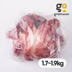 자숙문어 돌문어 1.7kg~1.9kg 냉동 숙회 제수용 왕문어 필리핀
