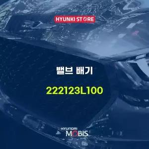 [현대모비스]밸브 배기 (222123L100) 현대모비스부품몰