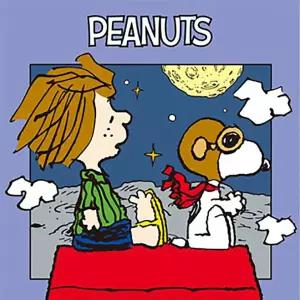 DIY 그림그리기 세트 피너츠 스누피 플라이투더문 25x25